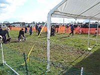 P1050461